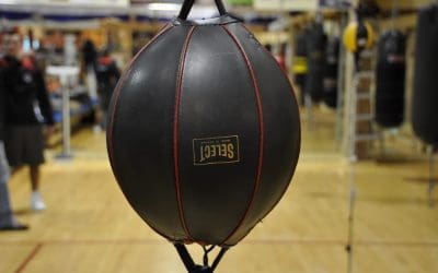 Mike Tyson’s Punching Bag